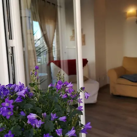 Apartament Santa Alicante